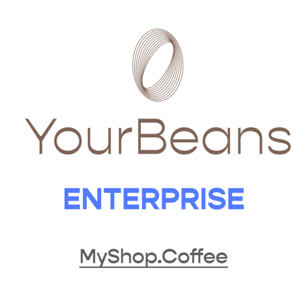 Enterprise (Scale with Expert Mentorship)