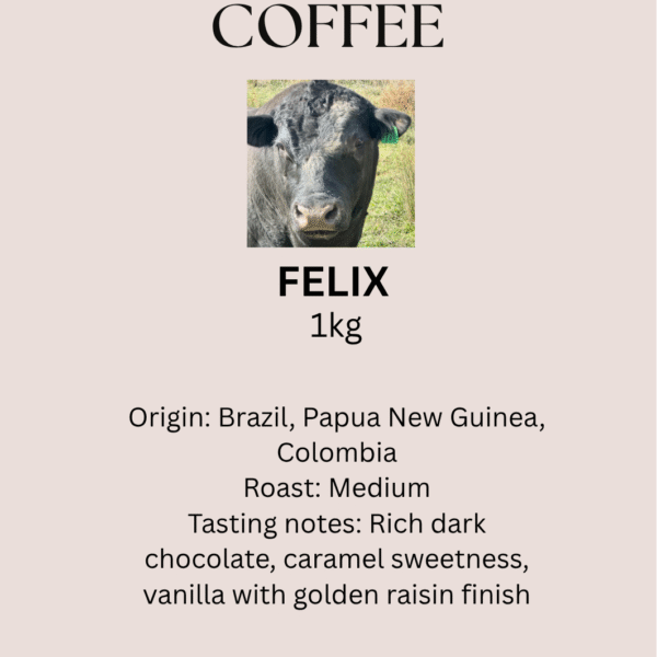 'FELIX'
