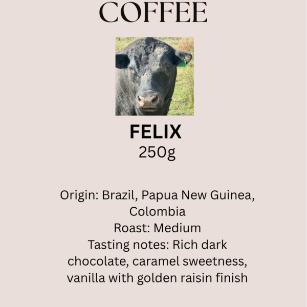 'FELIX'