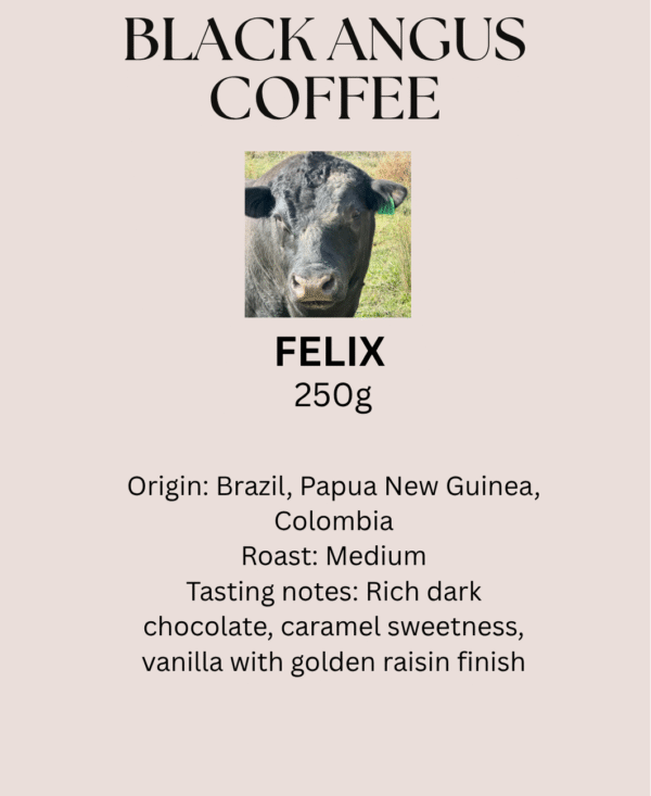 'FELIX'