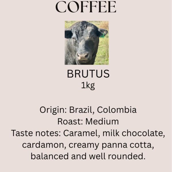 'BRUTUS'