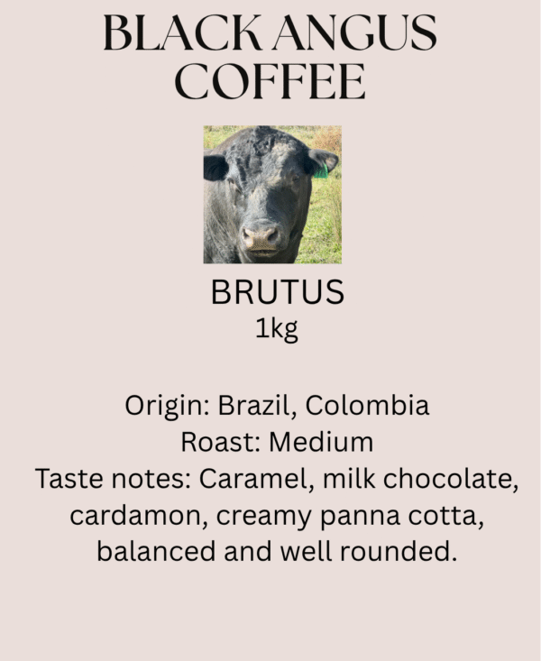 'BRUTUS'